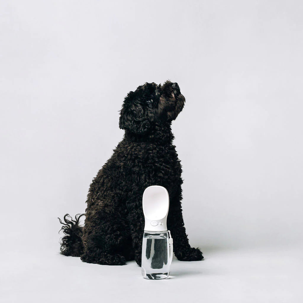 Original Thirsty Dog Bottle