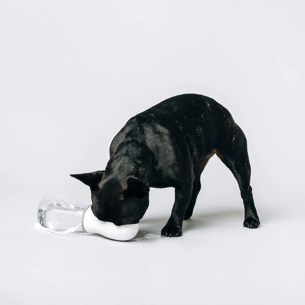 Original Thirsty Dog Bottle