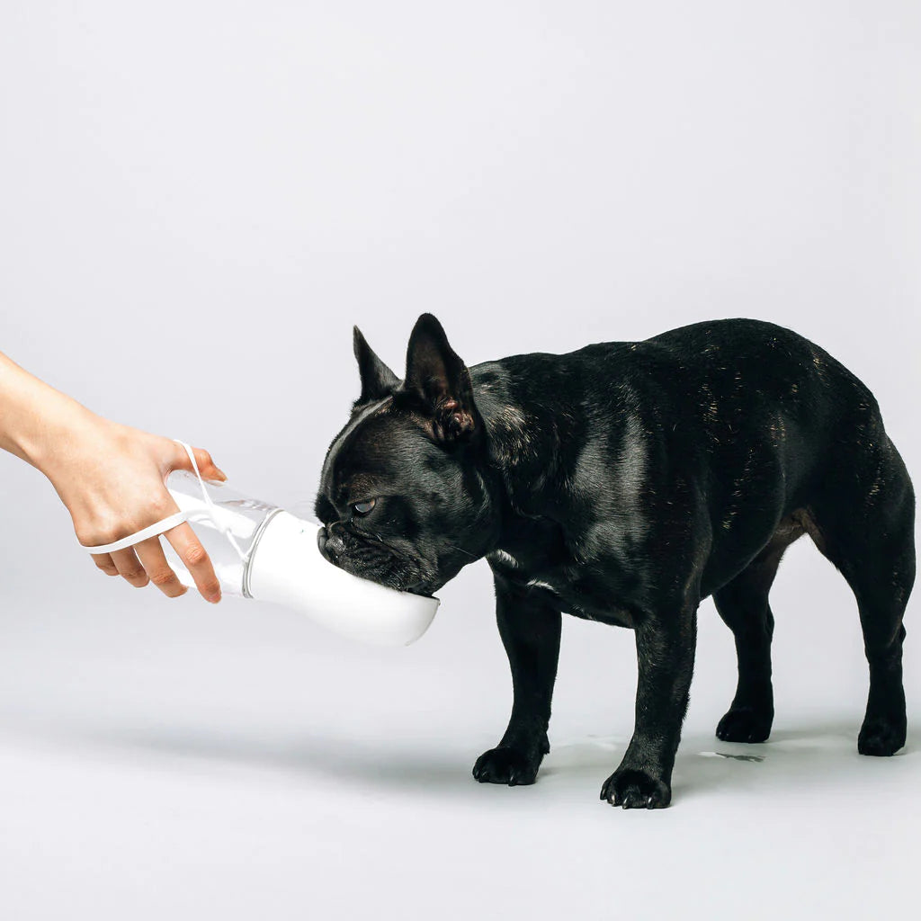 Original Thirsty Dog Bottle
