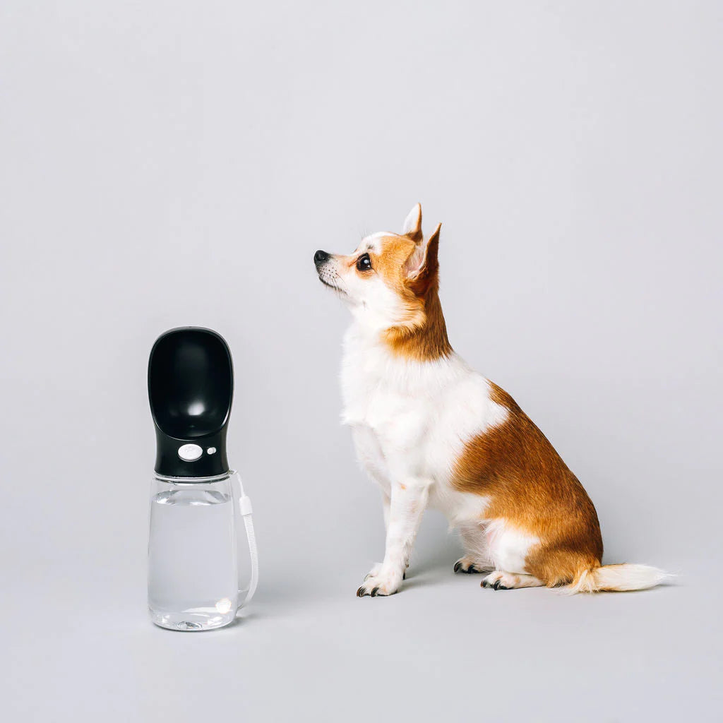 Original Thirsty Dog Bottle