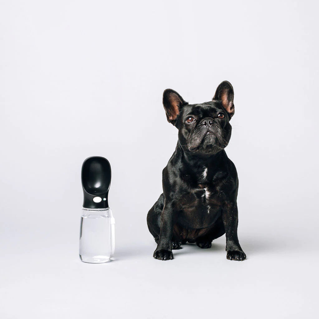 Original Thirsty Dog Bottle