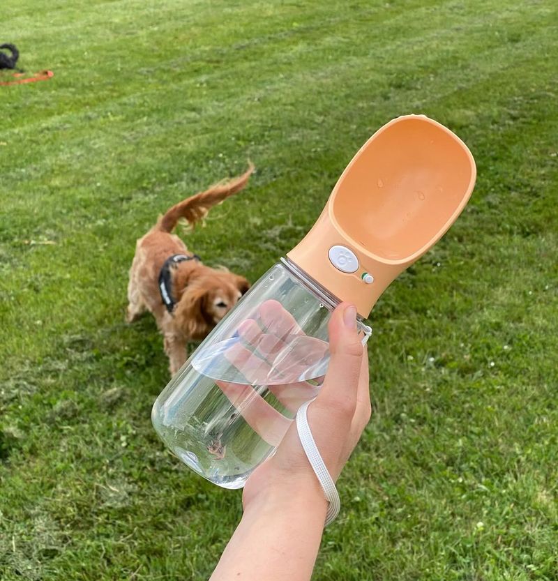 Peach Fuzz Thirsty Dog Bottle held outdoors with a dog nearby
